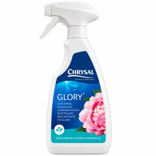 Chrysal Glory – Защитен спрей за по-дълготрайна свежест на цветни аранжировки