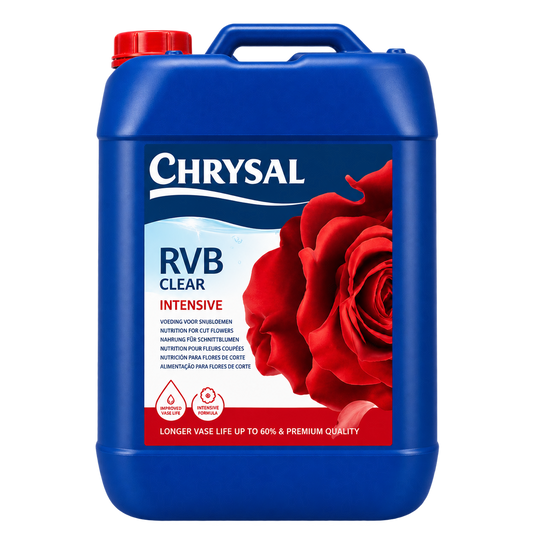Chrysal RVB Clear Intensive – Professional hydrating treatment for cut flowers and roses